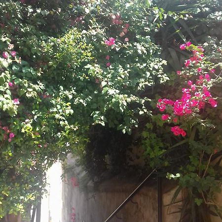 Antonella Home Brindisi Dış mekan fotoğraf