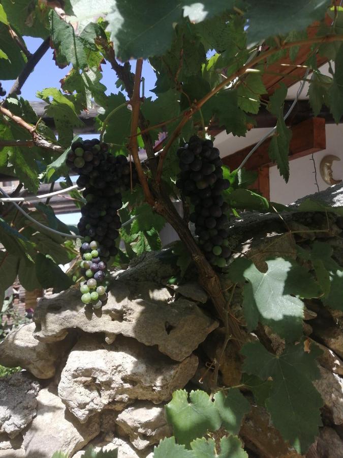 Antonella Home Brindisi Dış mekan fotoğraf