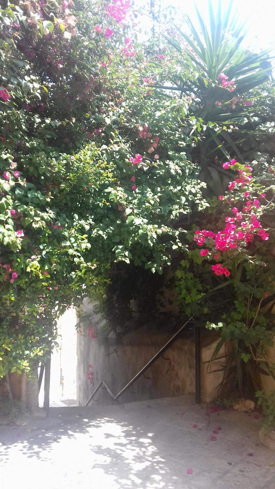 Antonella Home Brindisi Dış mekan fotoğraf